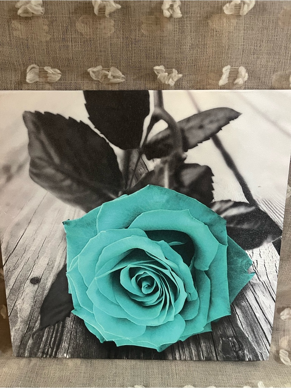 Teal Rose Canvas Wall Art
